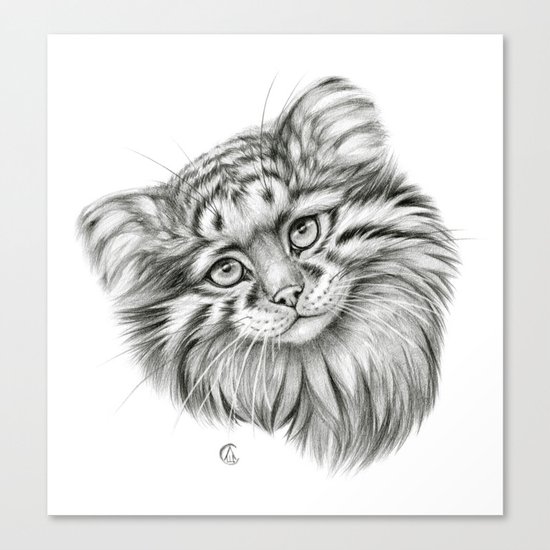 Pallas's Cat G2012-51 Canvas Print