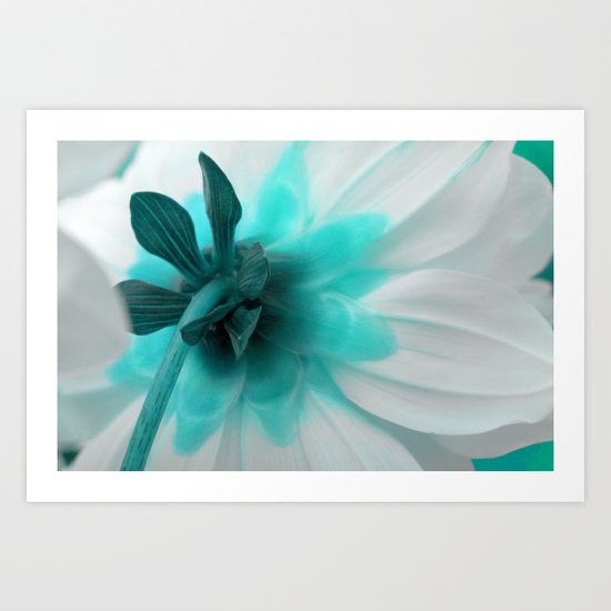 timido Art Print