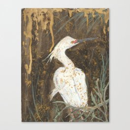 Snowy Egret Canvas Print