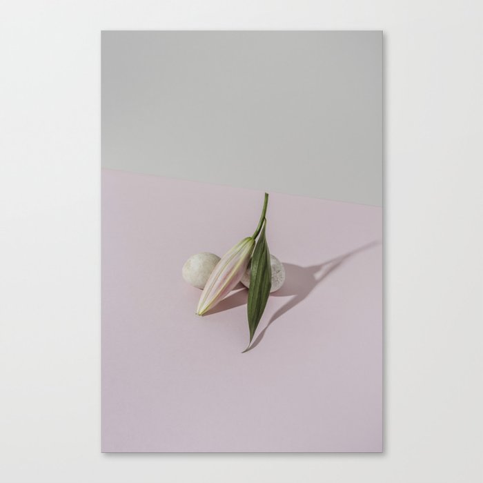 Lily flower Canvas Print
