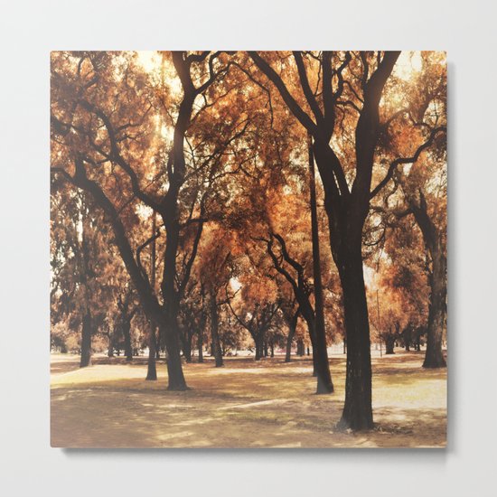 Through The Trees Metal Print