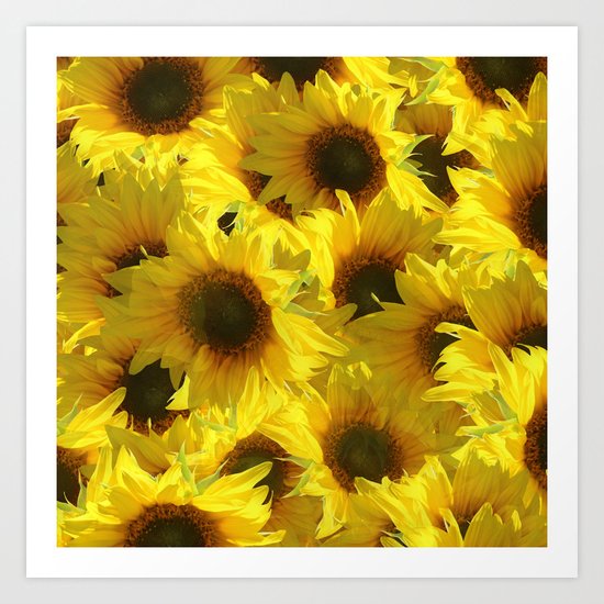Sunflowers Art Print