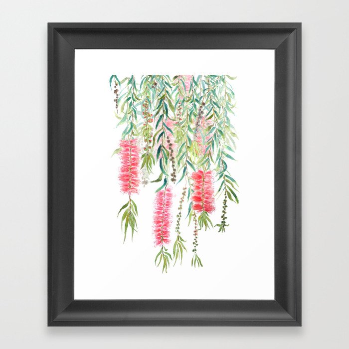 bottle brush tree flower Framed Art Print
