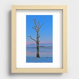 Portrait of a tree Recessed Framed Print