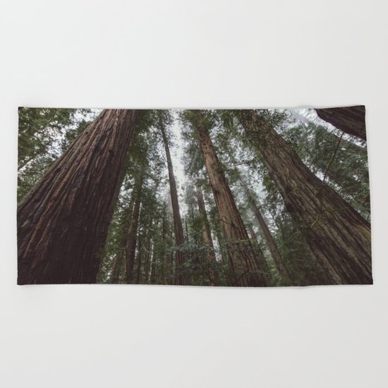 Through the Woods Beach Towel