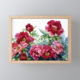 red сhinese peonies, watercolor drawing Framed Mini Art Print