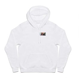 IDENTITY CRISIS Hoody
