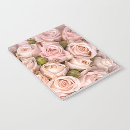 Blush Pink Roses Notebook