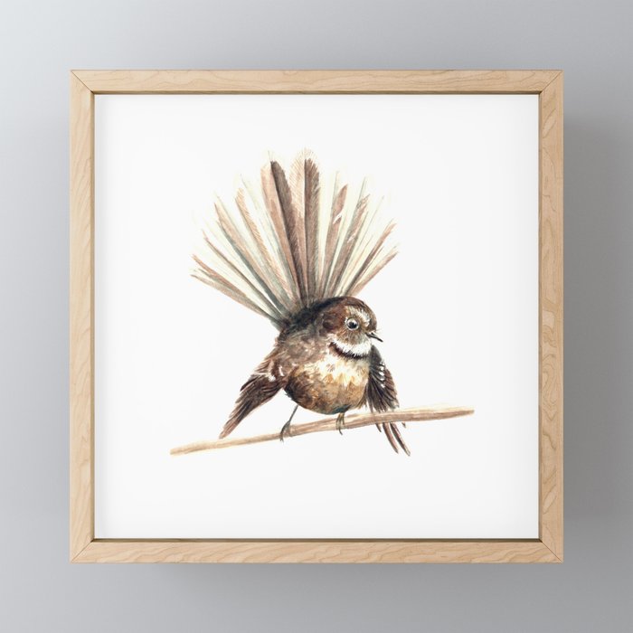 Piwakawaka / Fantail - a native New Zealand bird 2011 Framed Mini Art Print