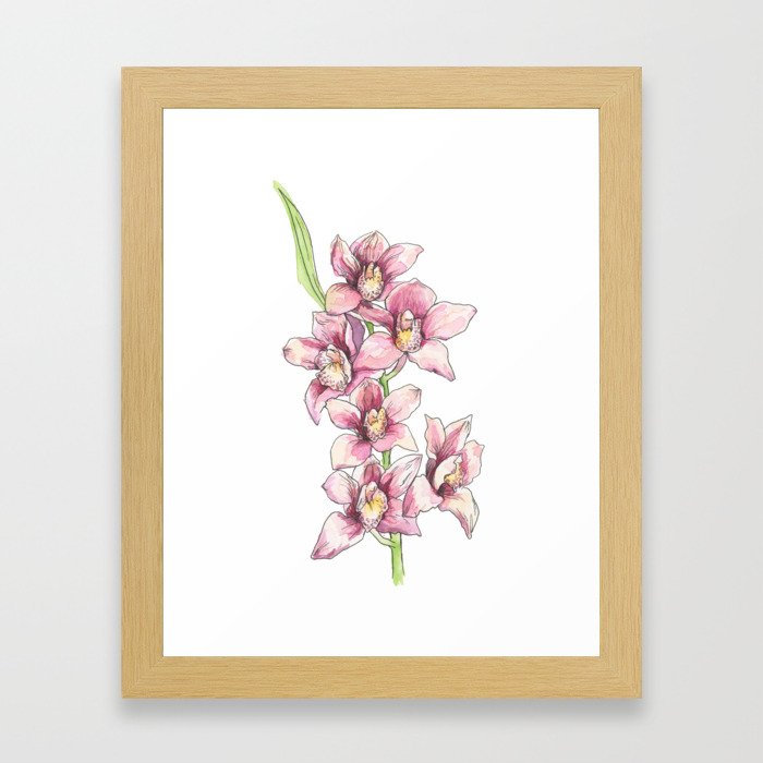 Orchid Blossoms Framed Art Print