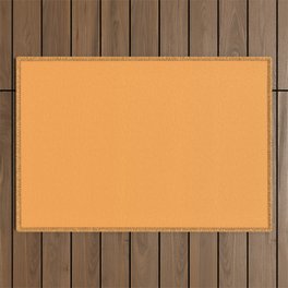 Mid-tone Orange Solid Color Pairs Pantone Blazing Orange 15-1160 TCX - Shades of Orange Hues Outdoor Rug