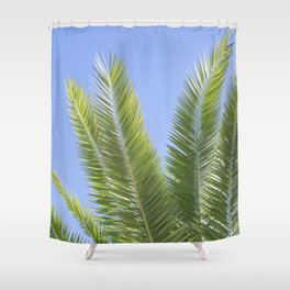 Tropical palmtree - green blue leaves mediterranean travel photography Shower Curtain