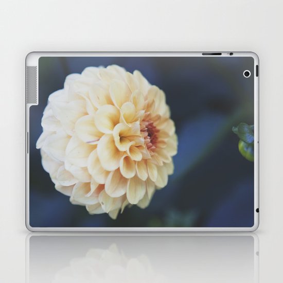 Beauty Laptop & iPad Skin