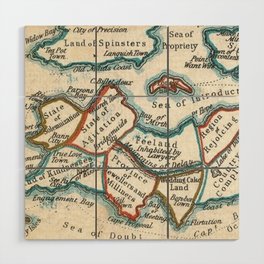 Allegorical Maps of Love, Courtship, and Matrimony Wood Wall Art