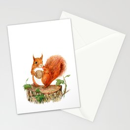 Squirrel Stationery Card
