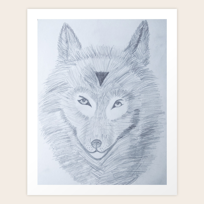 wolf face drawing art print by miritlevin society6 wolf face drawing art print by miritlevin