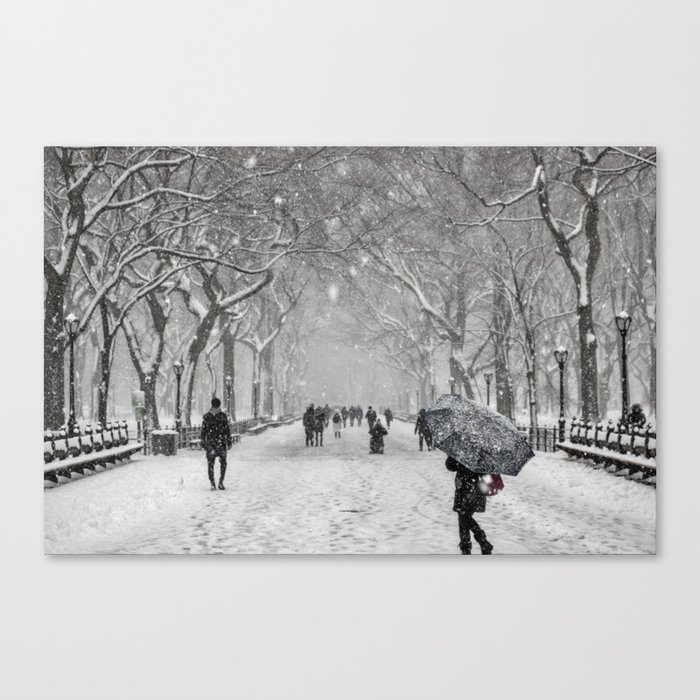 New York Winter Canvas Print