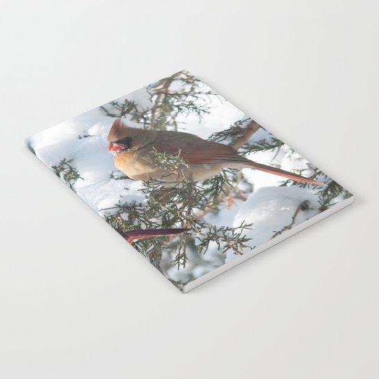 Sunny Winter Cardinals (square) Notebook