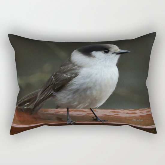 Gray Jay Rectangular Pillow