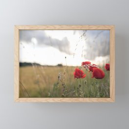 Enchanting field in Denmark | Flower meadow in Scandinavia | Poppies in Sight | Framed Mini Art Print