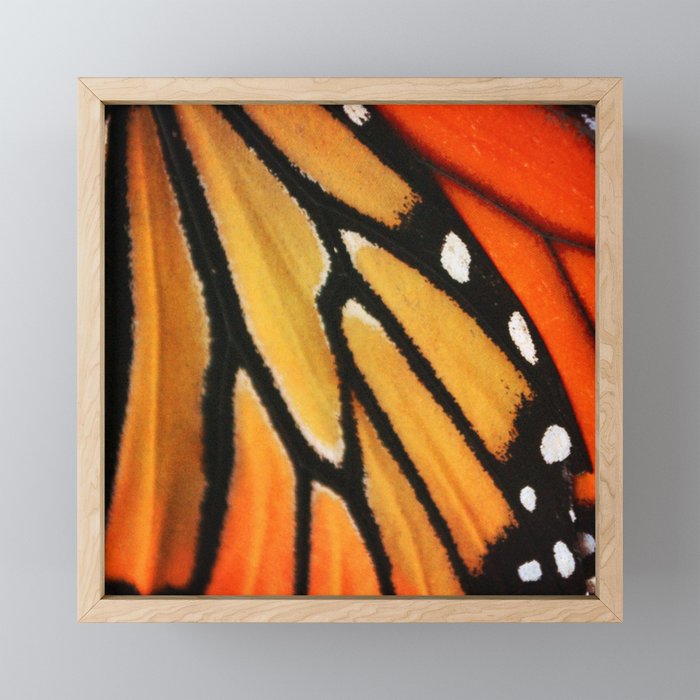 Butterfly Wing Framed Mini Art Print