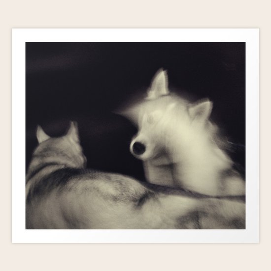 Night Wolf Art Print