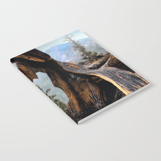 Look Into The Heart Notebook