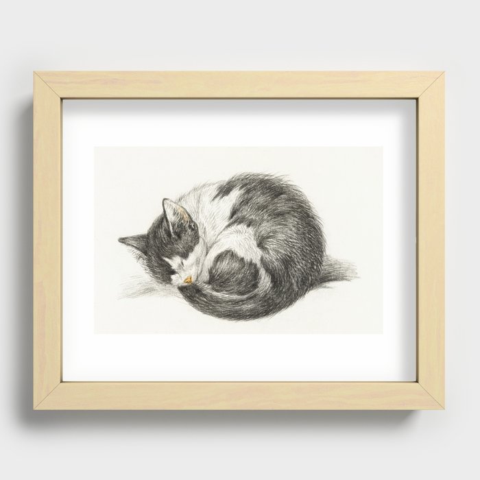 Rolled up lying sleeping cat (1825) by Jean Bernard  Recessed Framed Print
