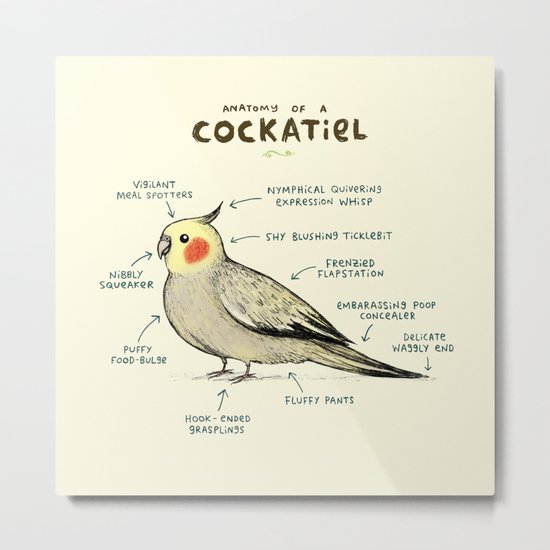 Anatomy of a Cockatiel Metal Print