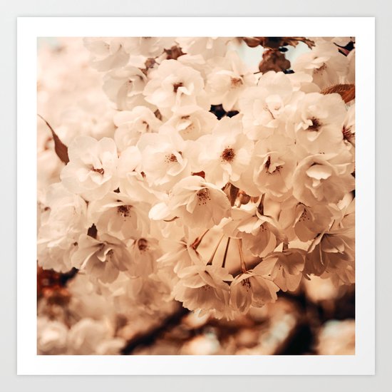 Hello Spring #7 Art Print