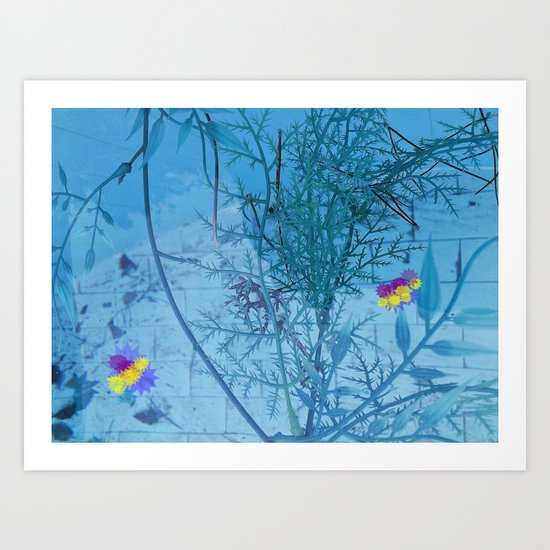 winter flowers in the pool Art Print