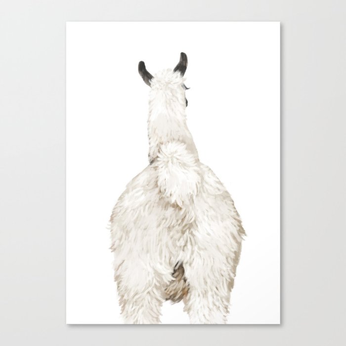 Llama Butt Canvas Print