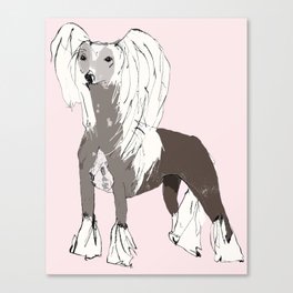 Chinese Crested Canvas Print