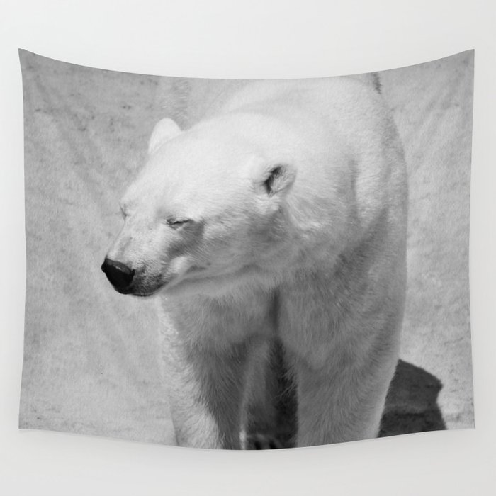 Polar Bear Photography Canada Black And White Mammal Nature Wildlife Wall Tapestry By Wildhood