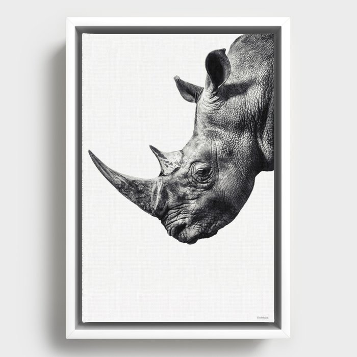Framed Canvas