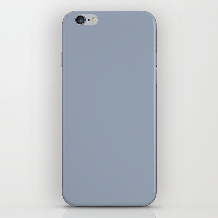 Gull Gray iPhone Skin