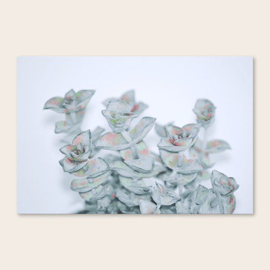 #164 Canvas Print