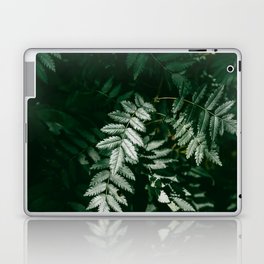 PNW Forest Ferns | Nature Photography Laptop Skin