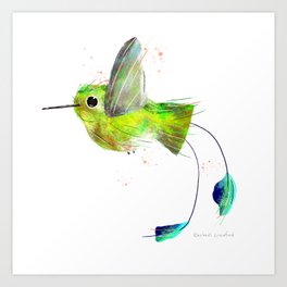 Flying Booted Racket Tailed Hummingbird Bird Illustration  Art Print