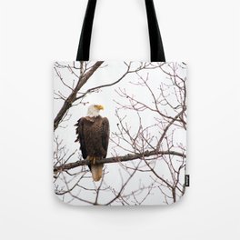 Bald Eagle Tote Bag