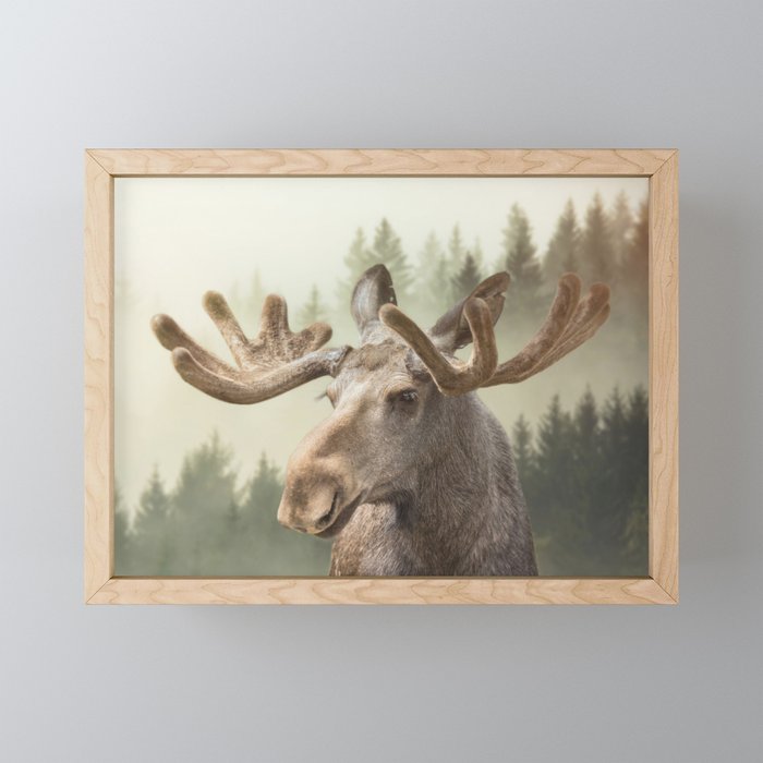 Moose Framed Mini Art Print