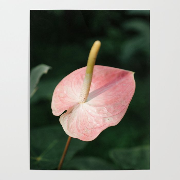 floral composition no. 2 Poster