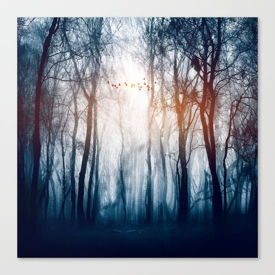 Morning Colours Canvas Print
