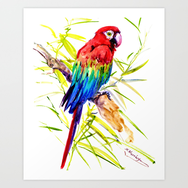 Parrot Scarlet Macaw Tropical Birds Jungle Red Green Blue Bright Colored Tropical Artwork Art Print By Surenart Society6