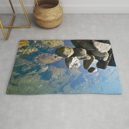 Colour of Stone Rug