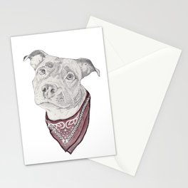 pitbull//dog Stationery Card
