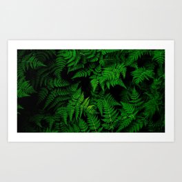 leaves plant green Art Print