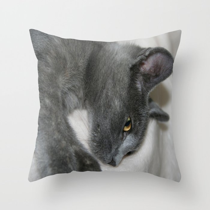 Close Up Portrait Of A Relaxed Grey Cat  Throw Pillow