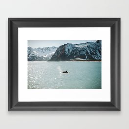 orca breach Framed Art Print