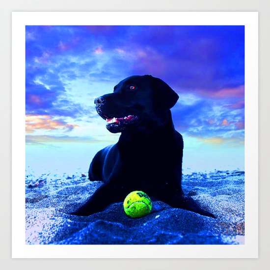 Ziggy Black Labrador Art Print